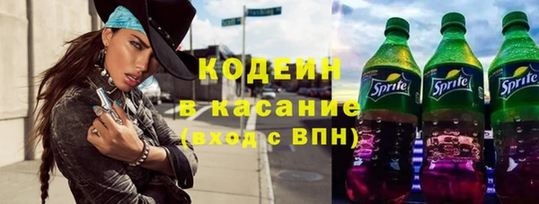индика Семикаракорск